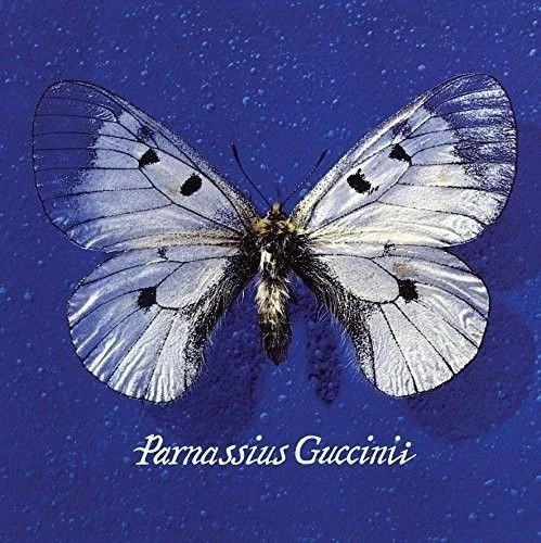 Francesco guccini parnassius - guccini,