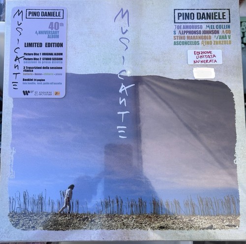 Pino daniele musicante - pino,